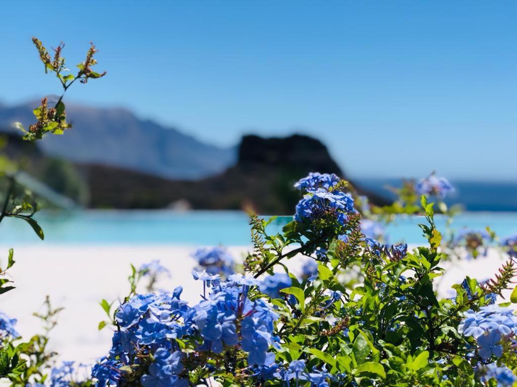 Paraisos De Agaete Puerto de las Nieves Kültér fotó